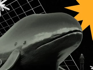 Ethereum Whale That Has Been Dormant Since ICO Transfers 8,000 ETH to New Wallet