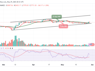 Bitcoin Price Prediction for Today, May 29: BTC/USD Retreats After Trading Above $28,000