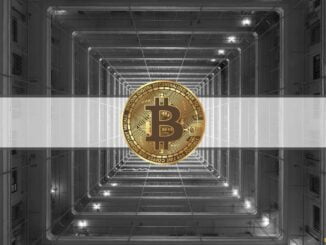 Bitcoin's Long-Term Metrics Resemble Early Stages From Previous Bull Markets: Bitfinex
