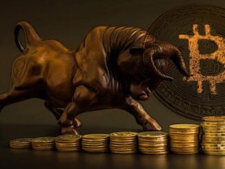 Bitcoin Bull Run