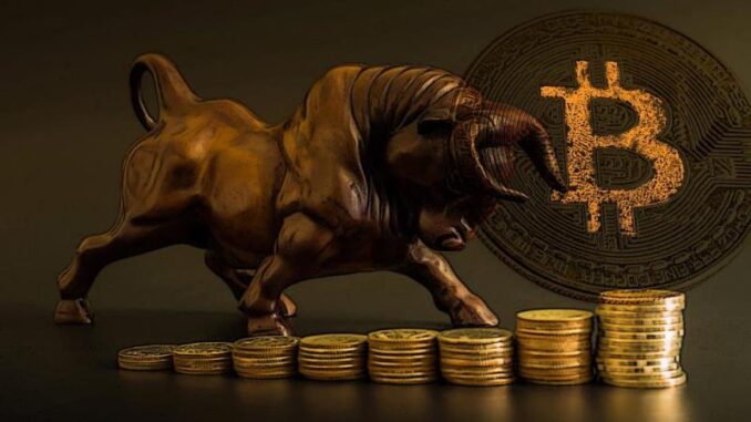 Bitcoin Bull Run