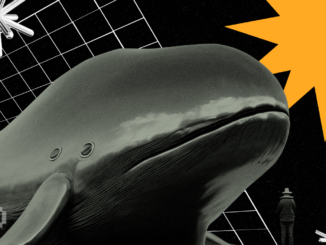 Crypto Whales Are Buying These Altcoins This Week