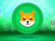 DigiToads utility sets itself apart from Shiba Inu and Pepe as meme coins demand grows