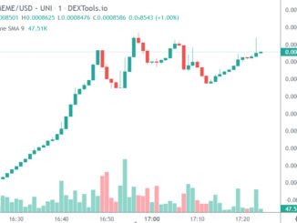 No Meme Token Launches, Pumps Up 700% Almost Instantly After Elon Musk Tweets There is No Meme Milady NFT
