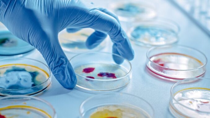 Scientists Develop New Antibiotic To Kill Superbug Using AI Scientists Develop New Antibiotic To Kill Superbug Using AI