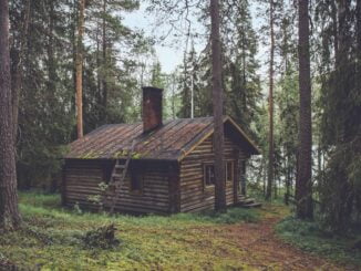 Social DAO Cabin Wants to Build a ‘Network City’