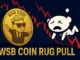 Digital illustration showing a crashed WSB Coin token and a Reddit mascot symbolizing a rug pull incident