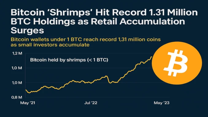 Bitcoin wallets under 1 BTC reach record 1.31 million holdings as small investors accumulate