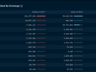 BNB, CAKE Crypto Prices Plummet Following SEC Crackdown on Binance