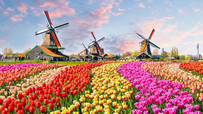 Binance to Quit Netherlands After Failing to Acquire License Binance to Quit Netherlands After Failing to Acquire License