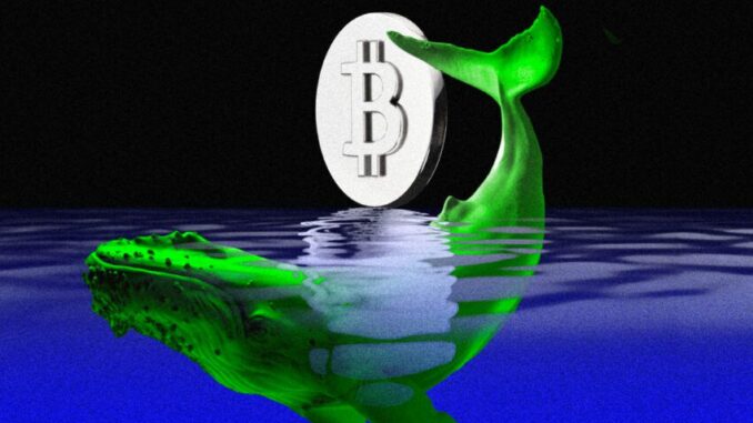 Bitcoin Weekly Inflows Skyrocketed With Shift in Sentiment Spot Bitcoin ETF Speculation Drives Highest Weekly Inflows in 12 Months