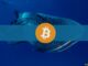 Bitcoin Whale Address Activates After Decade, Transfers $37.8M Worth of BTC