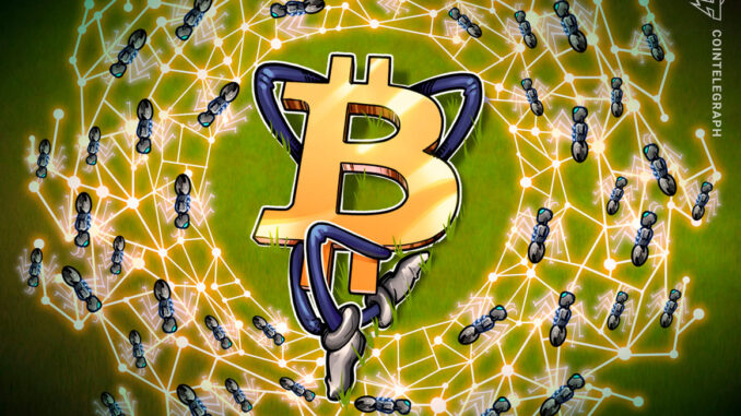 Bitcoin volatility takes a break as $31K BTC price yearly Bitcoin volatility takes a break as $31K BTC price yearly highs loom