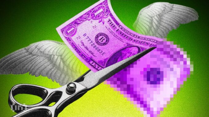 Chibi Finance Pulls the Rug: Users Lose Over $1M Rug Pull: Chibi Finance Users Lose Over $1M Worth of Crypto