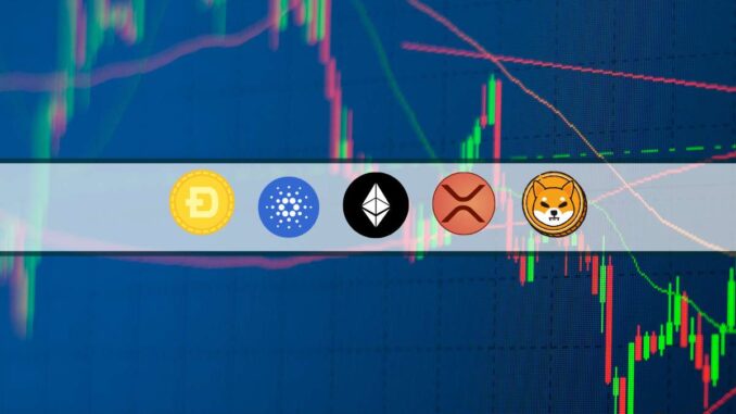 ETH, XRP, ADA, DOGE, and SHIB ETH, XRP, ADA, DOGE, and SHIB