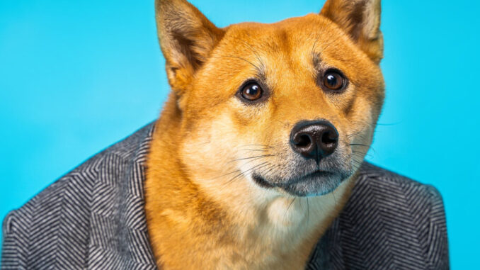 Elon Musk Denies Owning Dogecoin Stash Linked to Insider Trading Elon Musk Denies Owning Dogecoin Stash Linked to Insider Trading