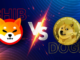 Shiba Inu Will Never Do As Well As This Meme Coin, And Here's Why