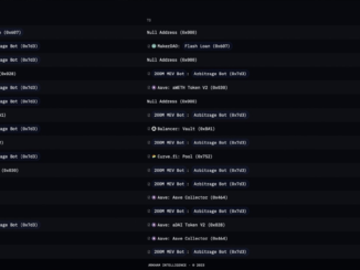 Trader Makes Just $3 in Profit From $200 Million Flash Loan