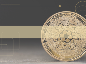What Next for Cardano After SEC Lawsuit? $WSM & $YPRED Tokens Pump Despite Market Dip