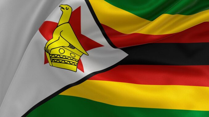 Zimbabwe's Gold-Backed Digital Token Isn’t Enough to Stabilize Local Currency, Zimbabwe's Gold-Backed Digital Token Isn’t Enough to Stabilize Local Currency, Economists Say