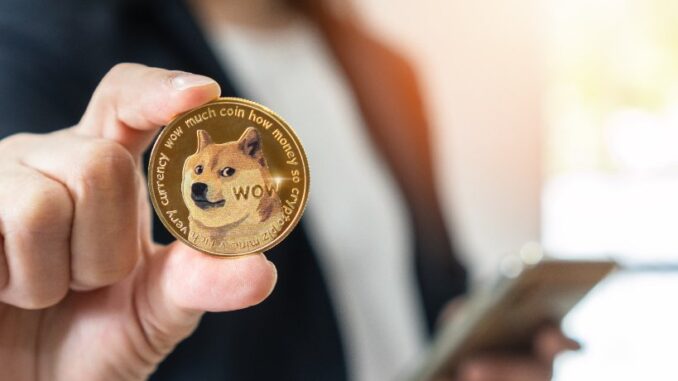 rare pattern points to a 20% DOGE dip rare pattern points to a 20% DOGE dip