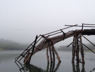 $126M in Multichain Funds ‘Abnormally’ Moved to Unknown Address, Says Troubled Bridging Project