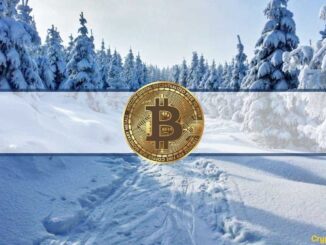 Analysts Predict Bitcoin Cooldown Phase as BTC Slid Below $30K