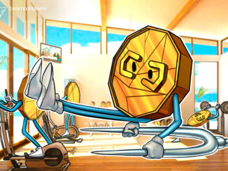 BNB Beacon Chain hard fork adds 'panic' feature that can 'halt' blockchain