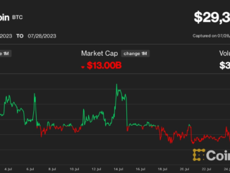 Bitcoin (BTC) Price Won’t Stay Below $30K for Long, Crypto Options Traders Bet