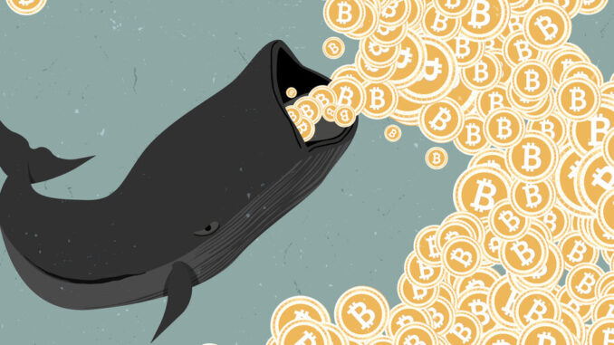 Bitcoin Whales Moved Nearly $60 Million In Five Days Bitcoin Whales Moved Nearly $60 Million In Five Days