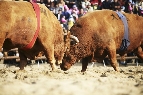 Casper price prediction: Technical indicators favour bulls Casper price prediction: Technical indicators favour bulls