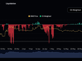 Crypto Traders Take Heavy Bearish Bets on BNB