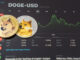 Dogecoin up 4% as X payments speculations return
