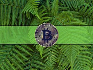 Greed Takes Over the Markets as Bitcoin Maintains $30K