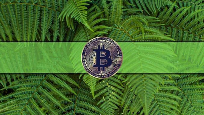 Greed Takes Over the Markets as Bitcoin Maintains $30K Greed Takes Over the Markets as Bitcoin Maintains $30K