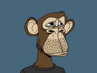 Is Justin Bieber’s Ape Really Worth $59,000? How to Value NFTs Using Rarity, Floor Price