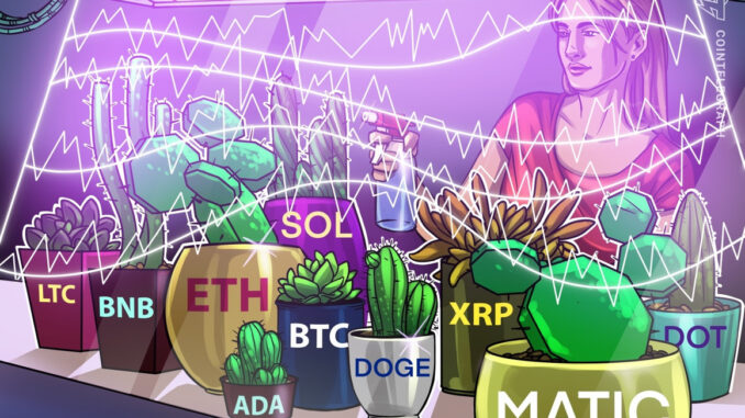 Price analysis 7/26: BTC, ETH, XRP, BNB, ADA, SOL, DOGE, Price analysis 7/26: BTC, ETH, XRP, BNB, ADA, SOL, DOGE, MATIC, LTC, DOT