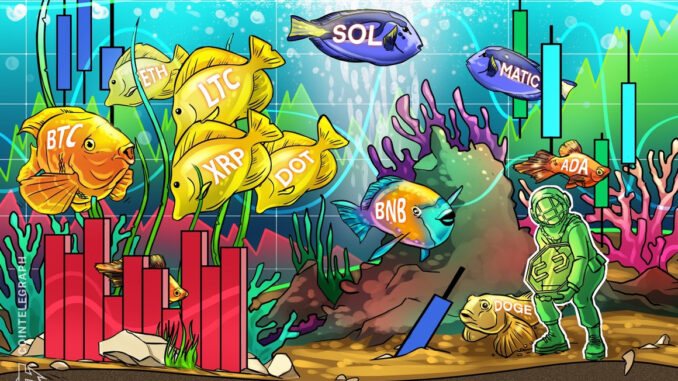 Price analysis 7/29: BTC, ETH, XRP, BNB, ADA, SOL, DOGE, MATIC, LTC, DOT