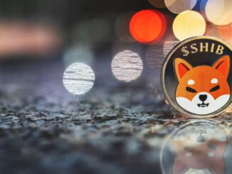 SHIB Devs Begin Testing Shibarium to Ethereum Bridge