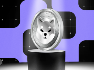 Shiba Inu (SHIB) Price: Breakout Potential After 14-Day Consolidation?