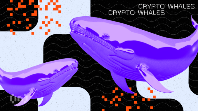 Shiba Inu Whales Buy More Than 1 Trillion SHIB Tokens Shiba Inu Whales Buy Over 1 Trillion SHIB in Anticipation of Shibarium Launch