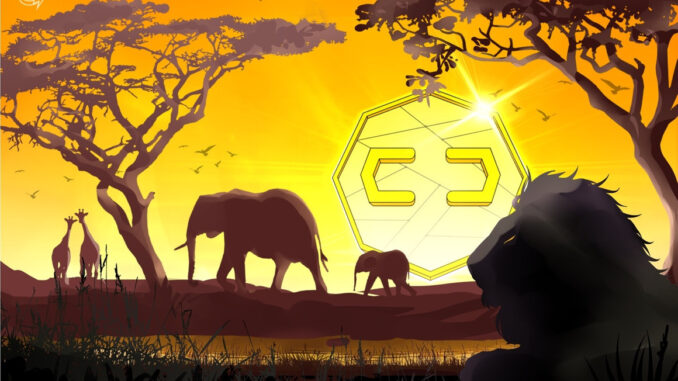 South Africa to mandate crypto exchange licenses by year-end: Report South Africa to mandate crypto exchange licenses by year-end: Report