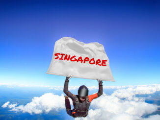 singapore temasek not comfortable investing crypto firms