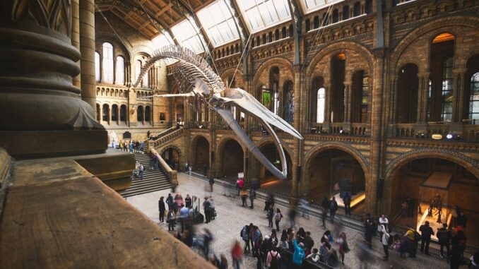 The Sandbox and British Museum partner to bring history and The Sandbox and British Museum partner to bring history and art into the metaverse