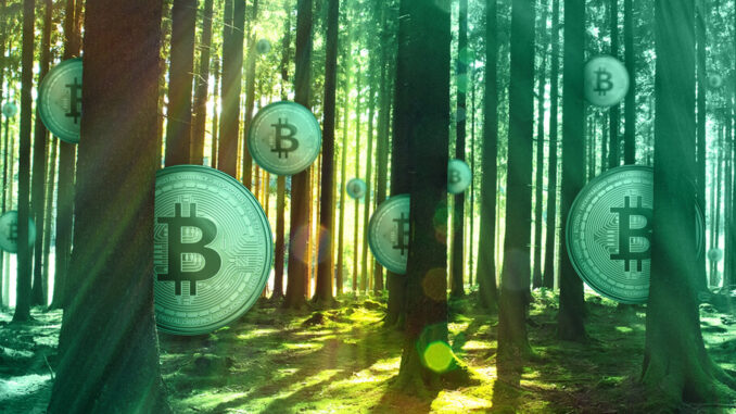 'Unsubstantiated': Expert Refutes Greenpeace Bitcoin Mining Pollution Claims 'Unsubstantiated': Expert Refutes Greenpeace Bitcoin Mining Pollution Claims