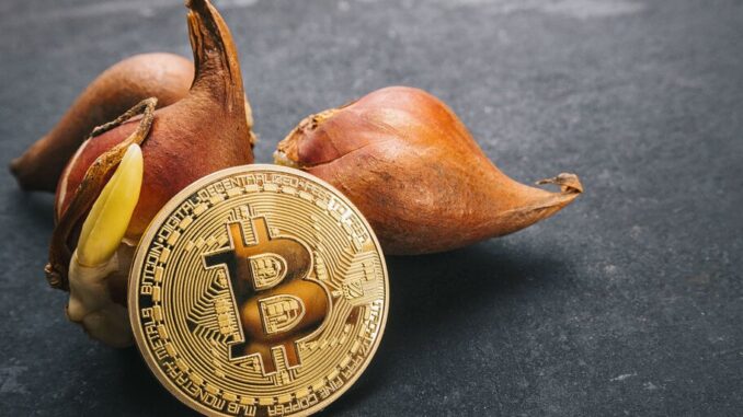 Bitcoin Developers Say Craig Wright May Be Admitting That He Bitcoin Developers Say Craig Wright May Be Admitting That He Stole 80,000 Bitcoin from Mt. Gox