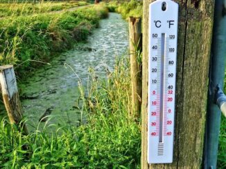 Celsius Token Holders Lose Bid to Hike CEL Valuation