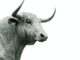 Crypto for Advisors: Bitcoin and the Bull