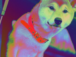 Dogecoin Price's (DOGE) 10% Decline This Year Led By Bearish European Hours