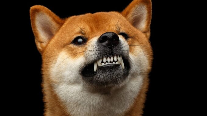 Dogecoin ‘Community Has Become Hyper Reactionary’ Over Proof-of-Stake Switch, Says Dogecoin ‘Community Has Become Hyper Reactionary’ Over Proof-of-Stake Switch, Says Core Dev